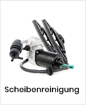 Scheibenreinigung