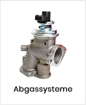 Abgassysteme